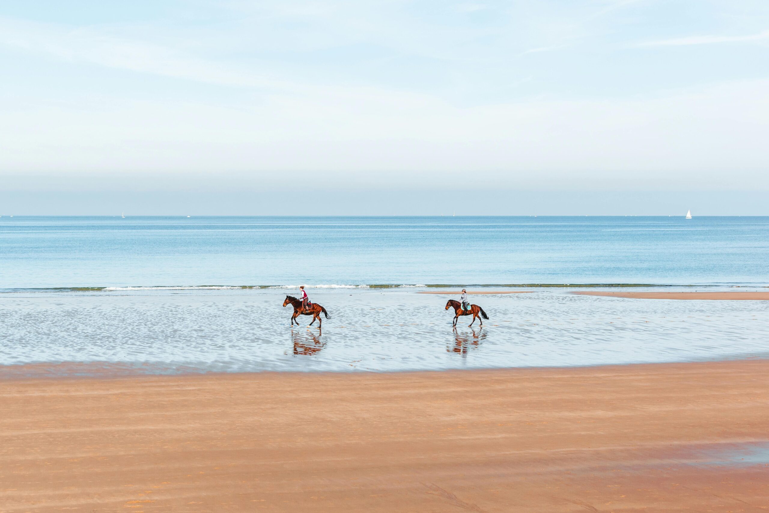 The Multifaceted Purpose & Benefits of Beach Horseback Riding