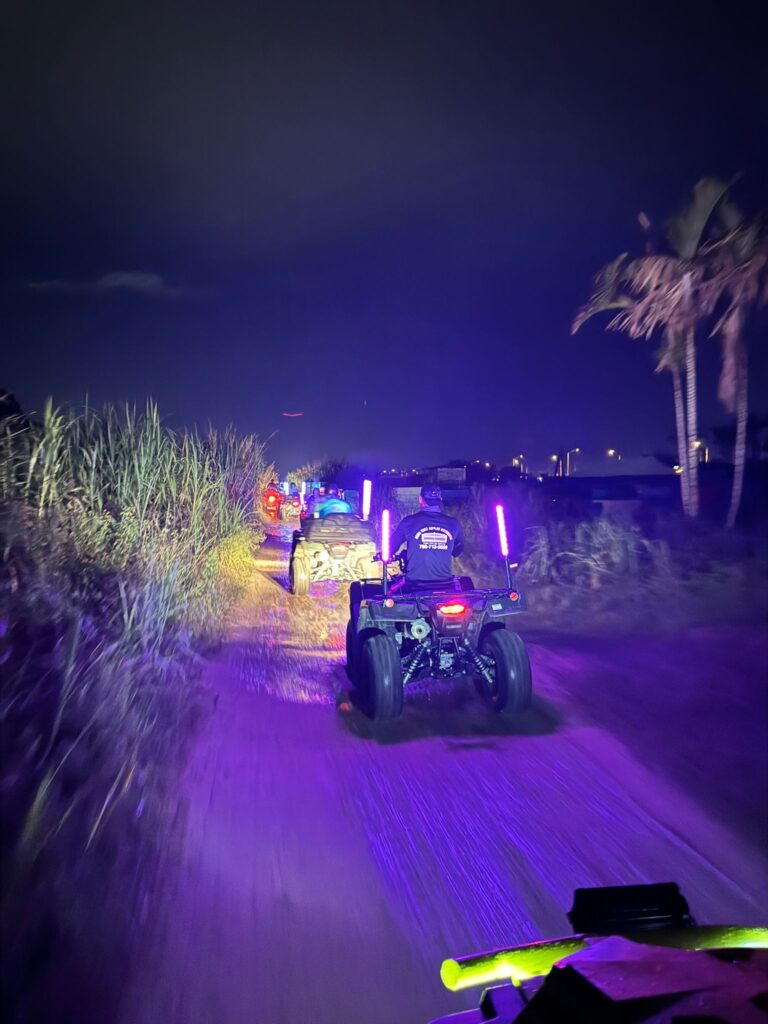 GLOW NIGHT TOUR3